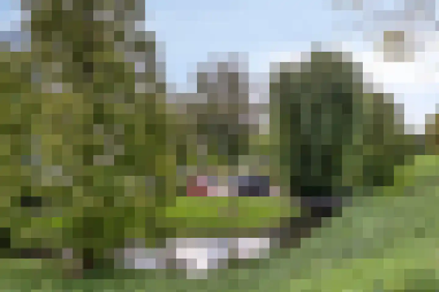 Mesdaglaan 85 Maassluis thumbnail 59