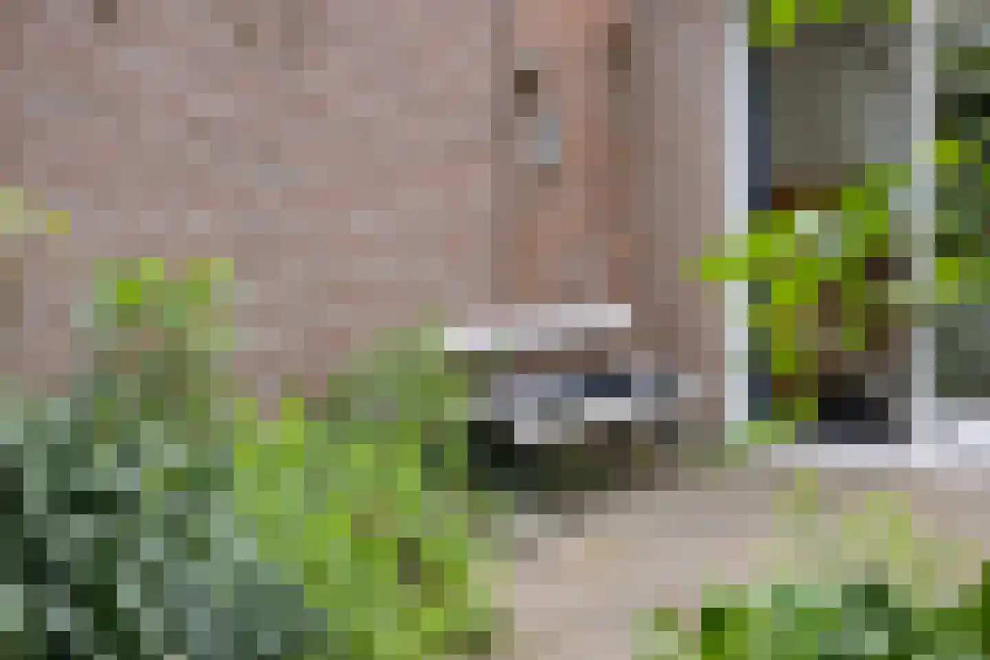 Mesdagplein 14 Drunen thumbnail 17