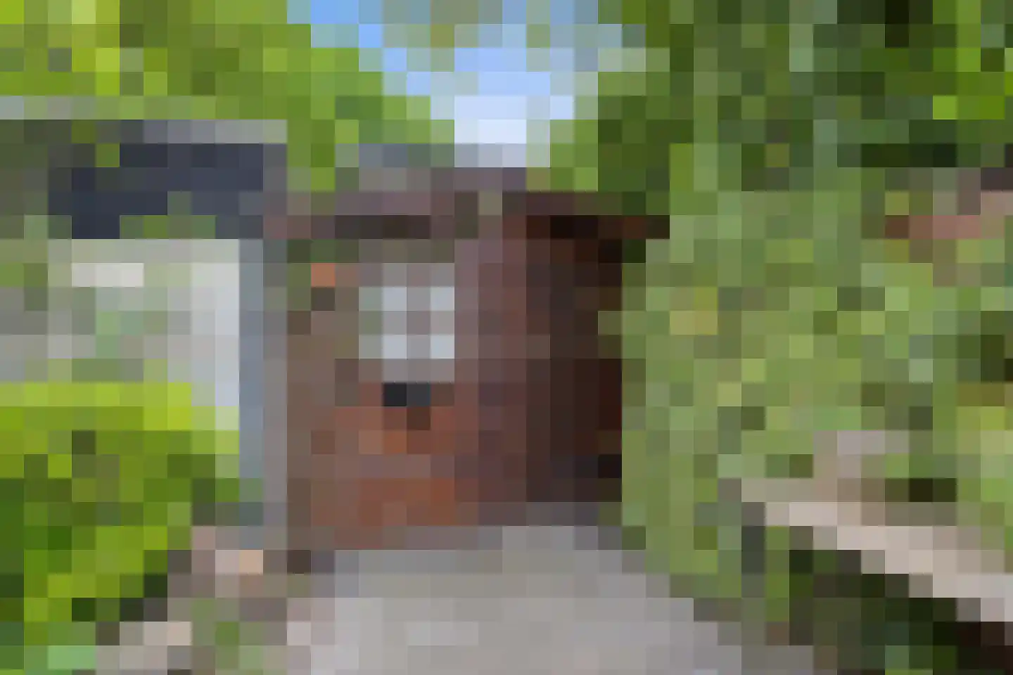 Mesdagplein 14 Drunen thumbnail 18