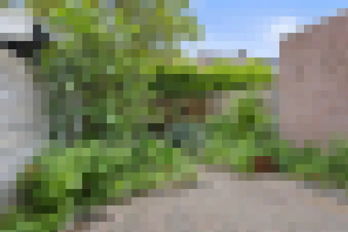 Mesdagplein 14 Drunen thumbnail 20