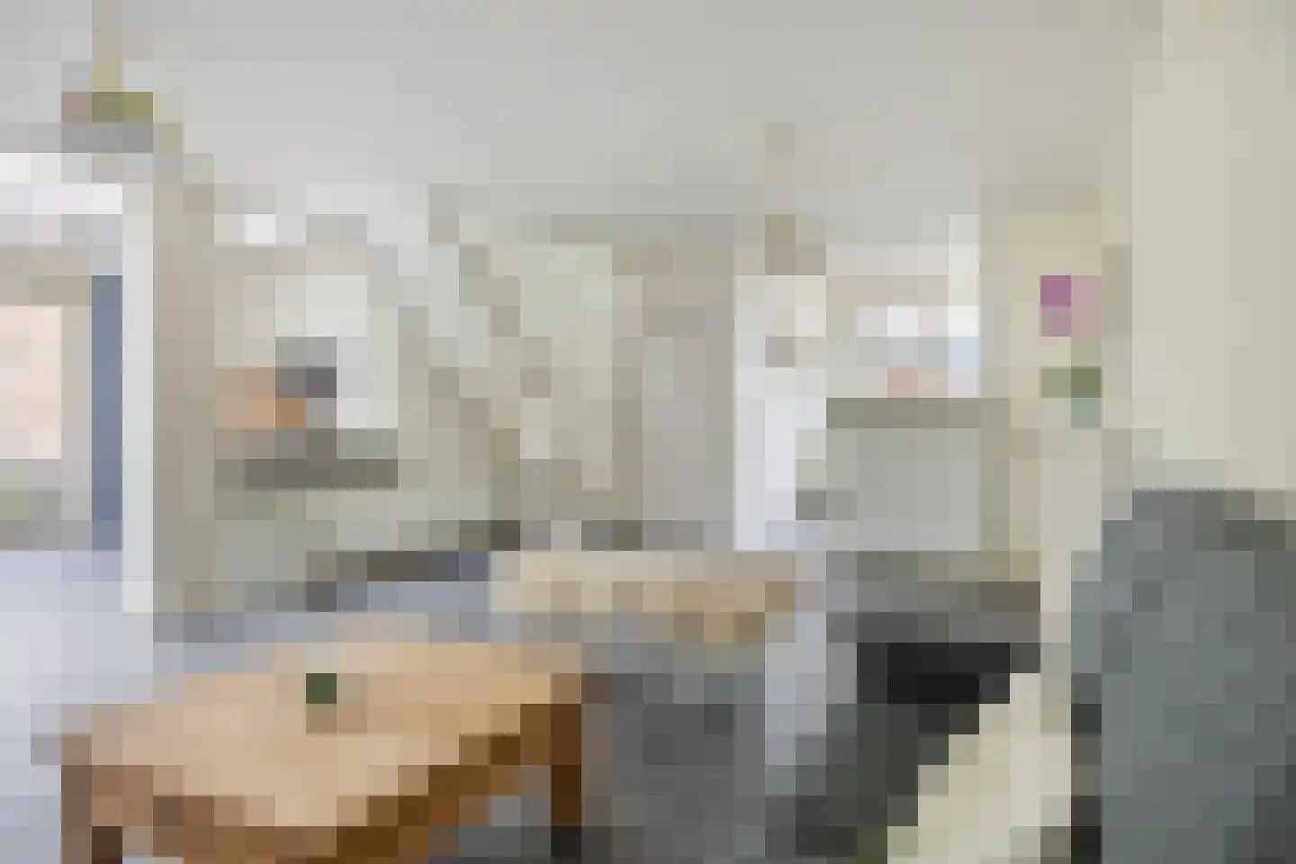 Mesdagplein 14 Drunen thumbnail 9