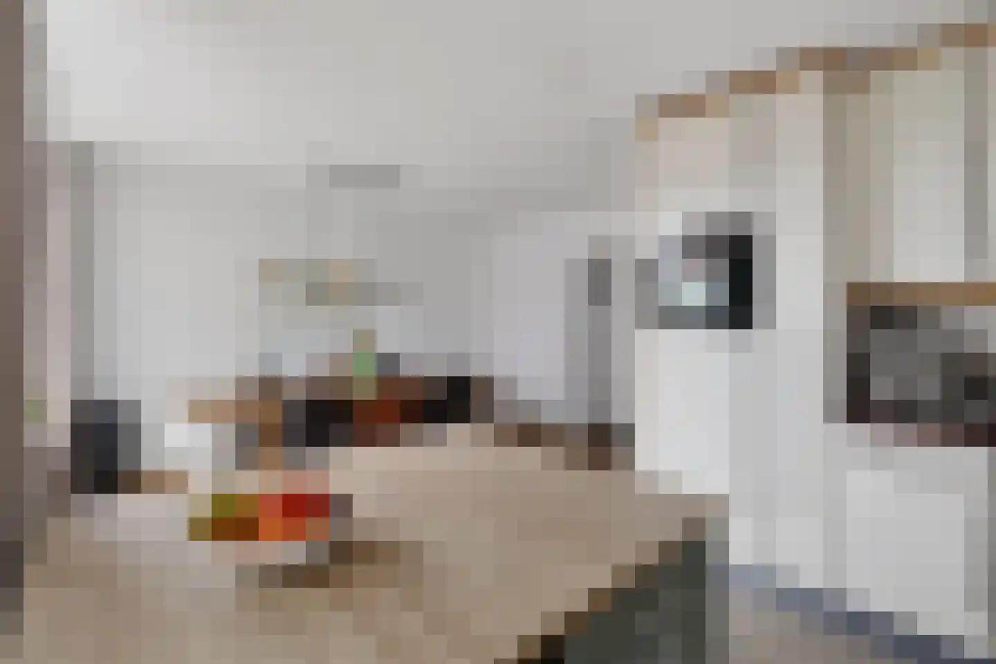 Mesdagstraat 1 Lisse thumbnail 15