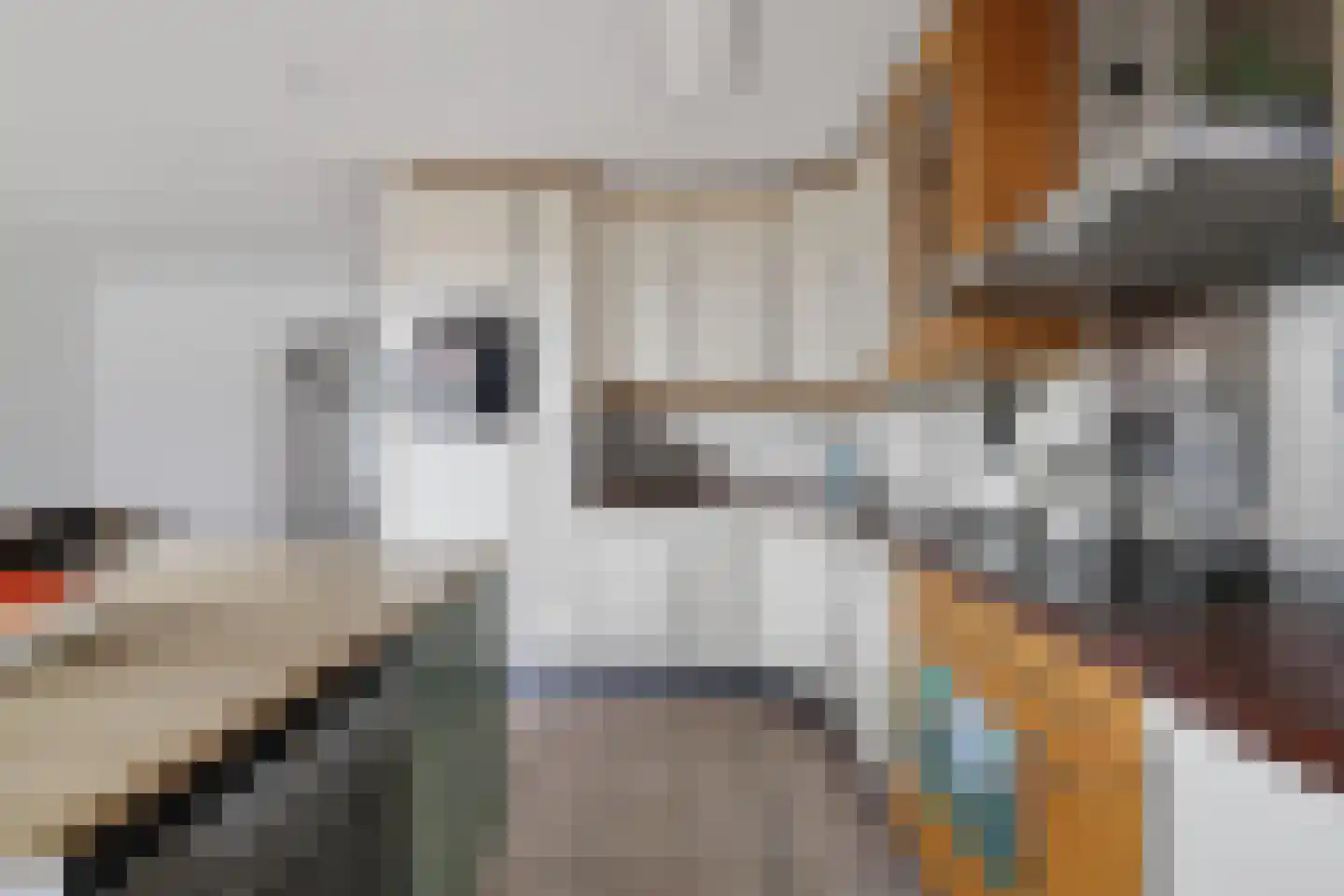 Mesdagstraat 1 Lisse thumbnail 16