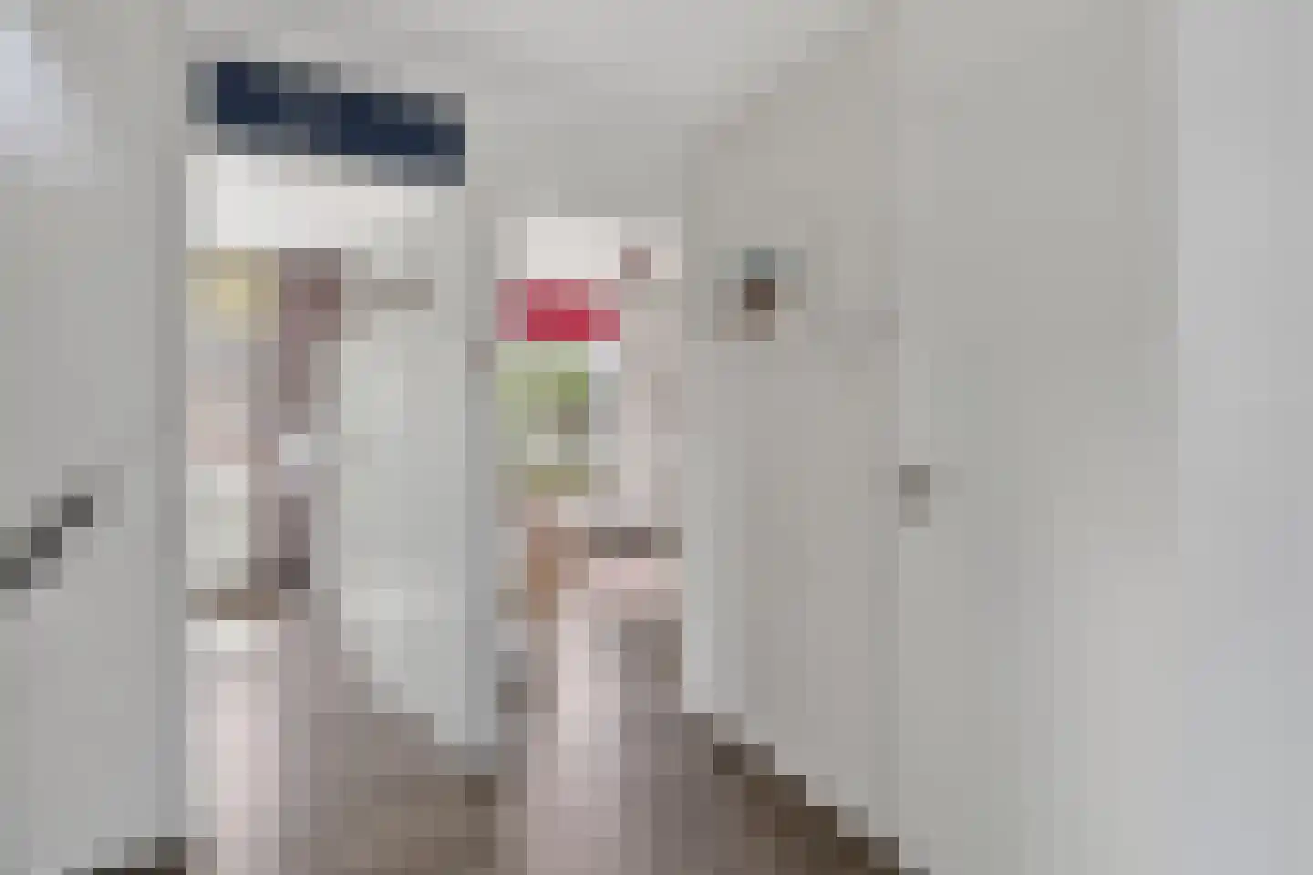 Mesdagstraat 1 Lisse thumbnail 18