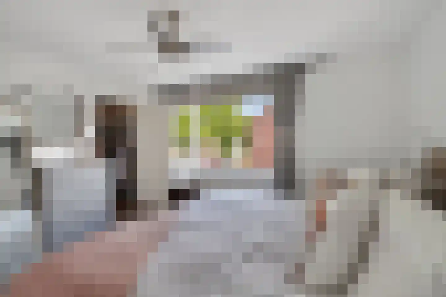 Mesdagstraat 1 Lisse thumbnail 23