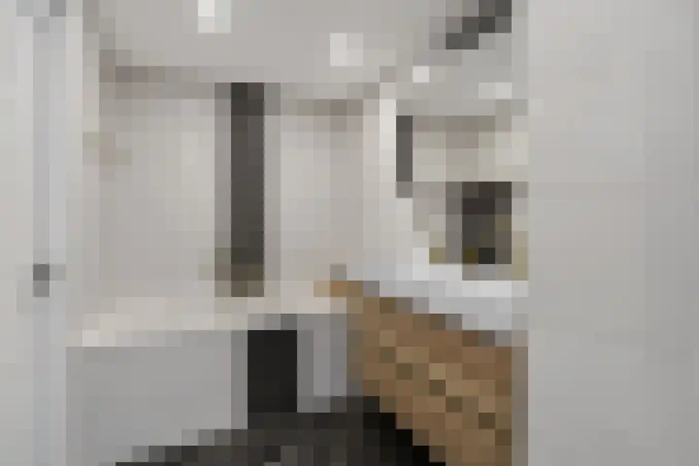 Mesdagstraat 1 Lisse thumbnail 26