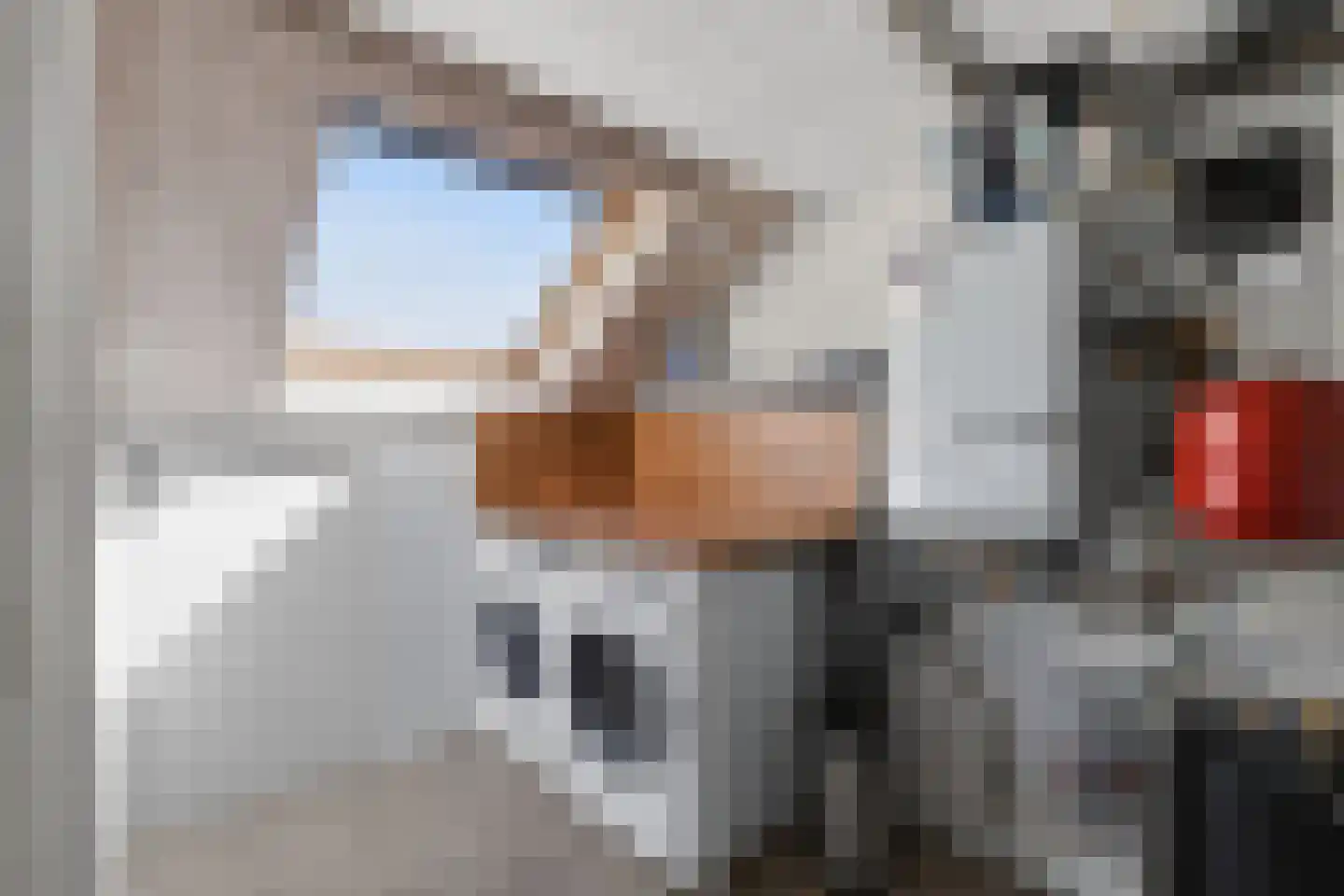 Mesdagstraat 1 Lisse thumbnail 30