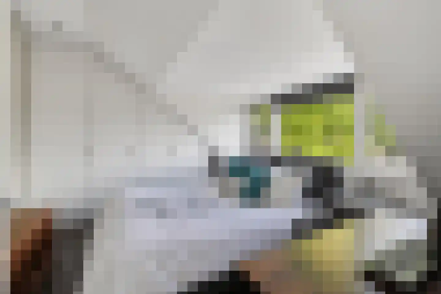 Mesdagstraat 1 Lisse thumbnail 31