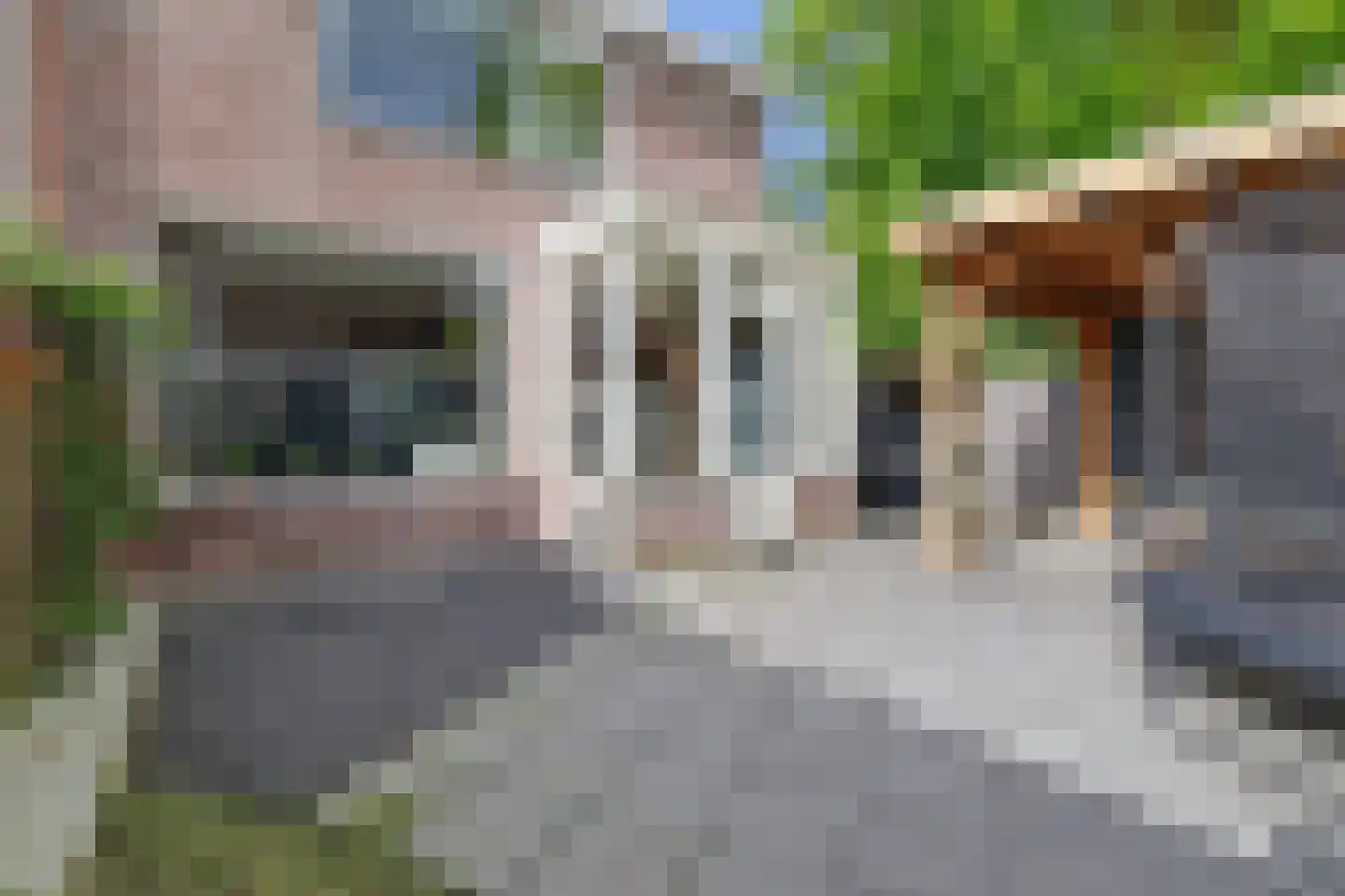 Mesdagstraat 1 Lisse thumbnail 37