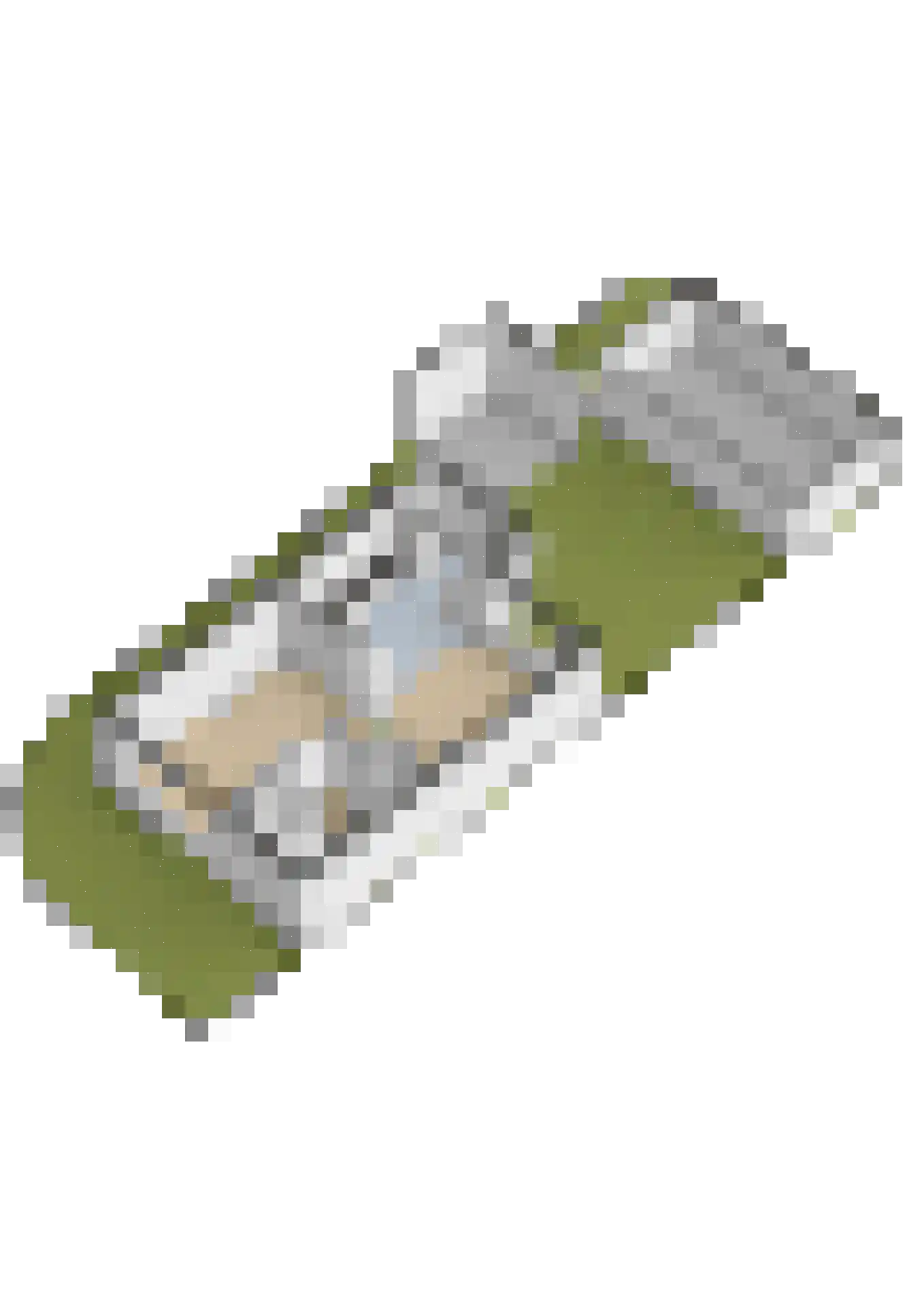 Mesdagstraat 1 Lisse thumbnail 51