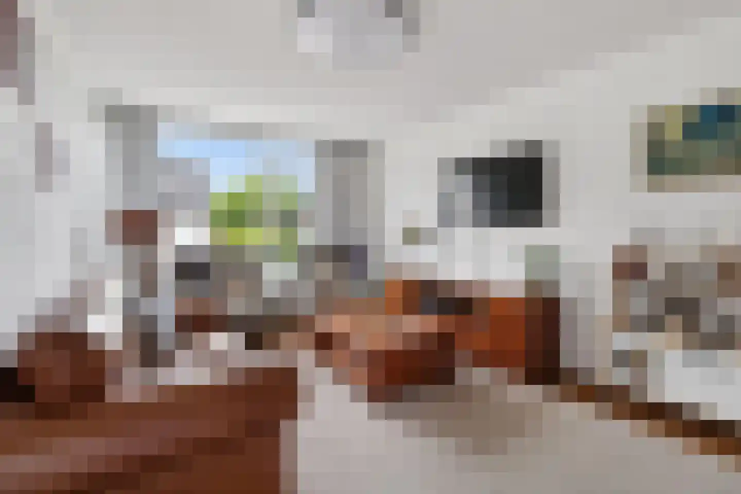 Mesdagstraat 1 Lisse thumbnail 8