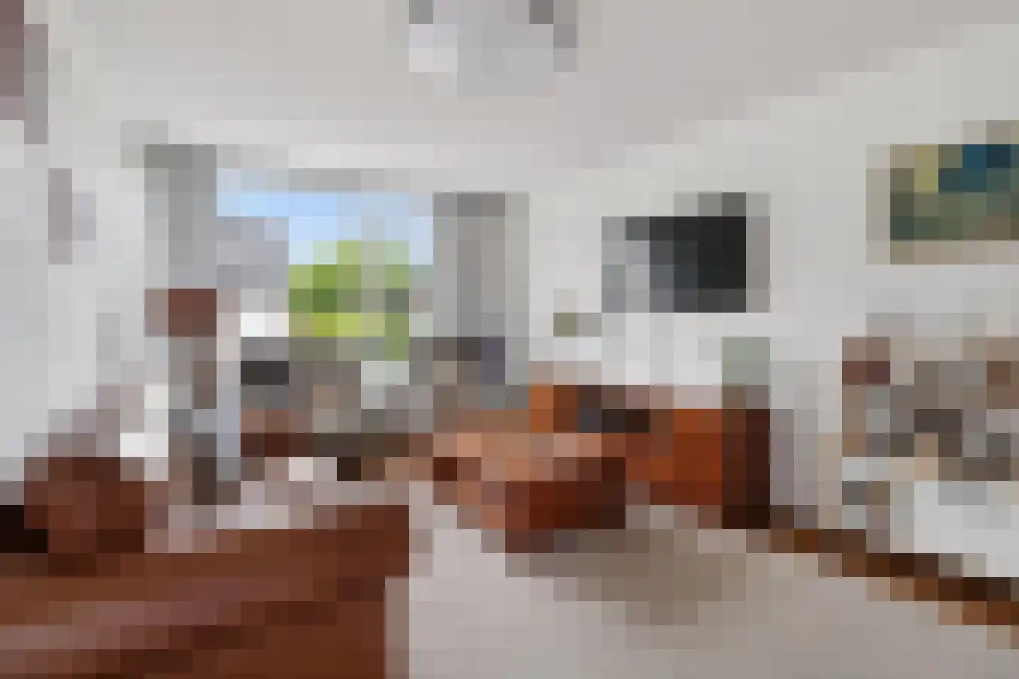 Mesdagstraat 1 Lisse thumbnail 8