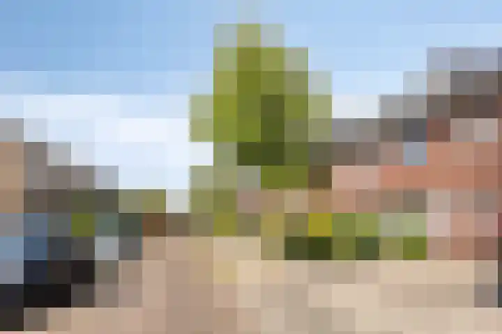 Mesdagstraat 10 Hengelo thumbnail 7