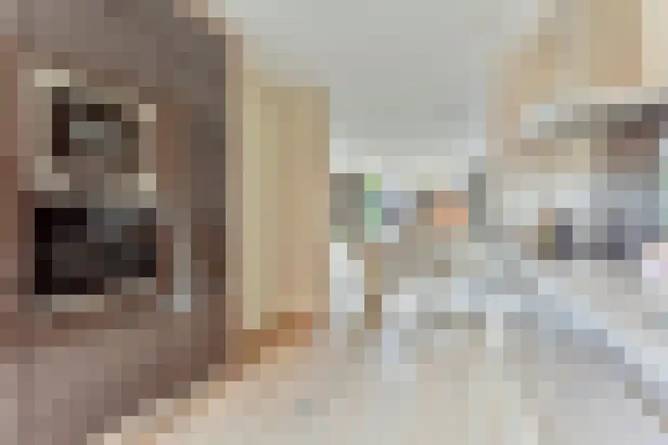 Mesdagstraat 11 Eindhoven thumbnail 12