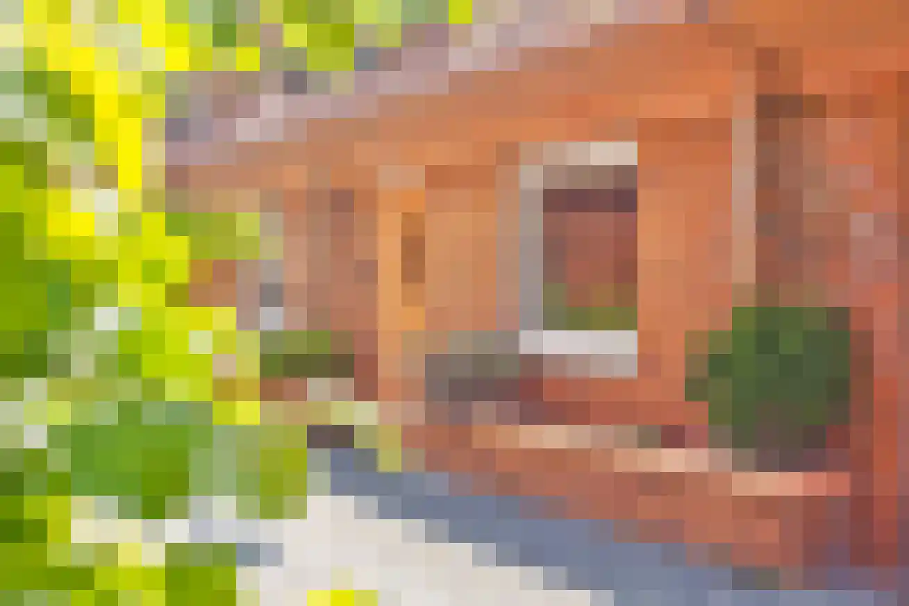 Mesdagstraat 11 Eindhoven thumbnail 28