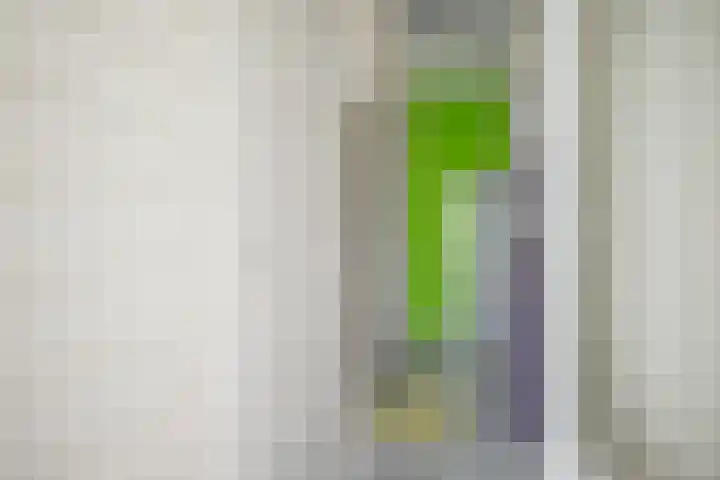Mesdagstraat 14 Bleiswijk thumbnail 5
