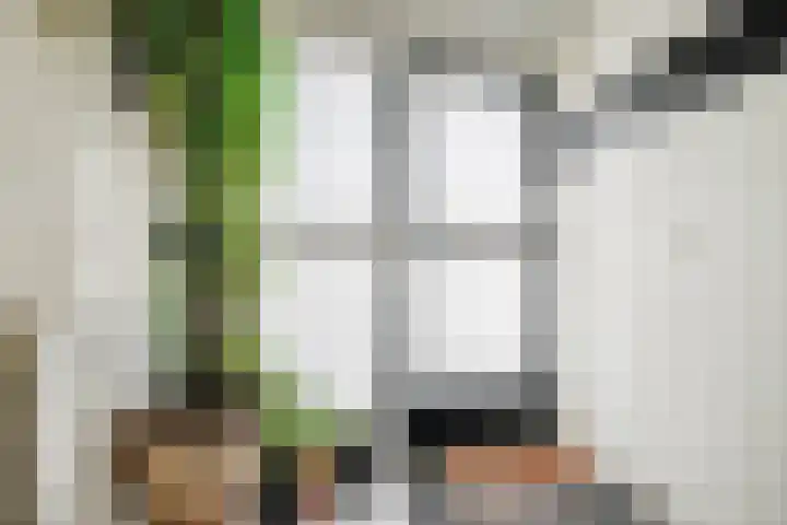 Mesdagstraat 14 Bleiswijk thumbnail 6