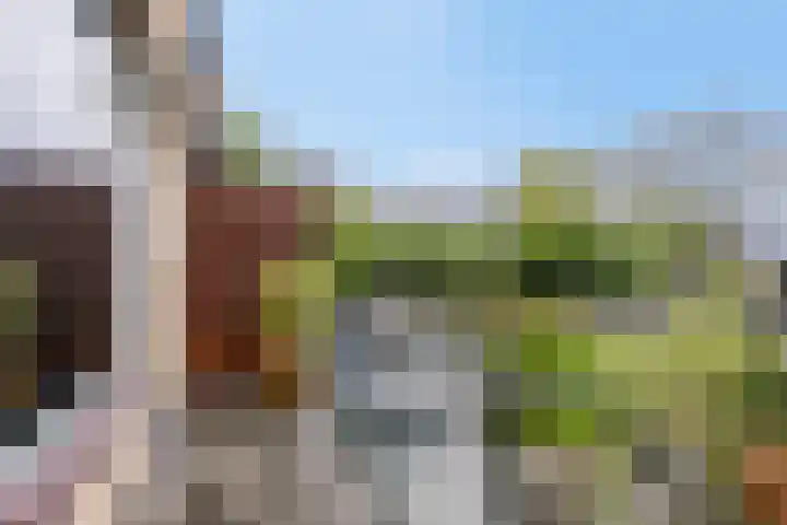 Mesdagstraat 16 Bleiswijk thumbnail 17