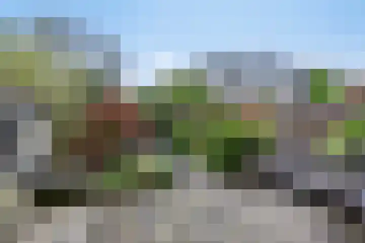 Mesdagstraat 16 Bleiswijk thumbnail 8