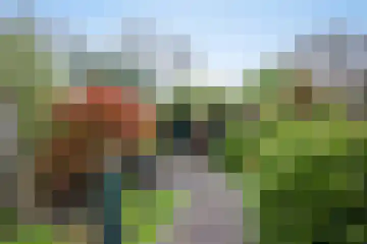 Mesdagstraat 16 Bleiswijk thumbnail 9