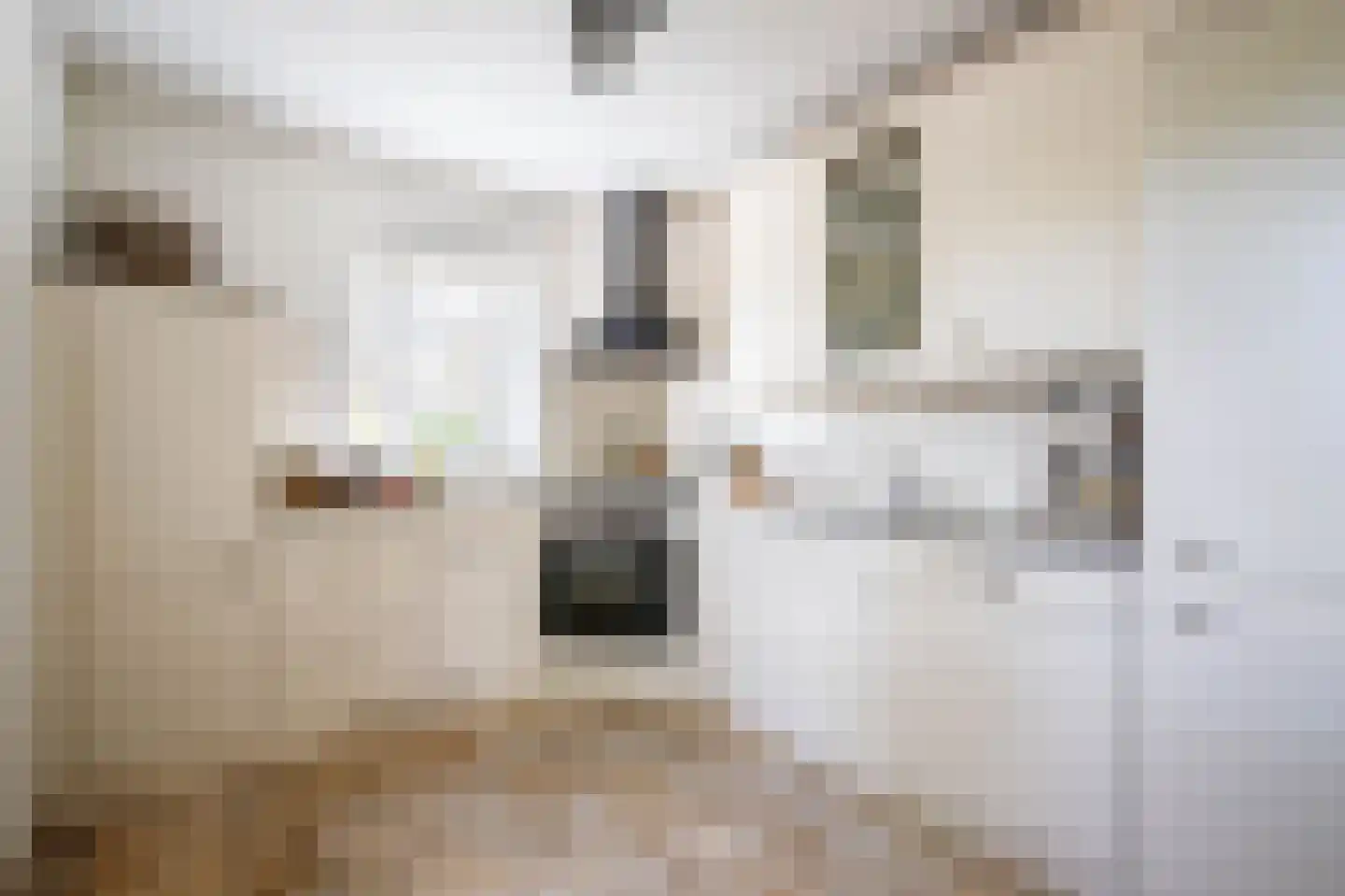 Mesdagstraat 17 Bergschenhoek thumbnail 15