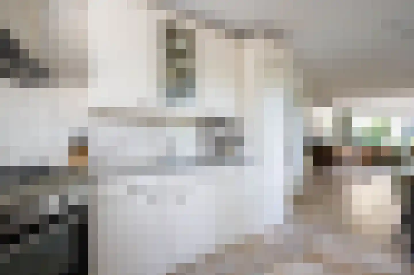 Mesdagstraat 17 Bergschenhoek thumbnail 16