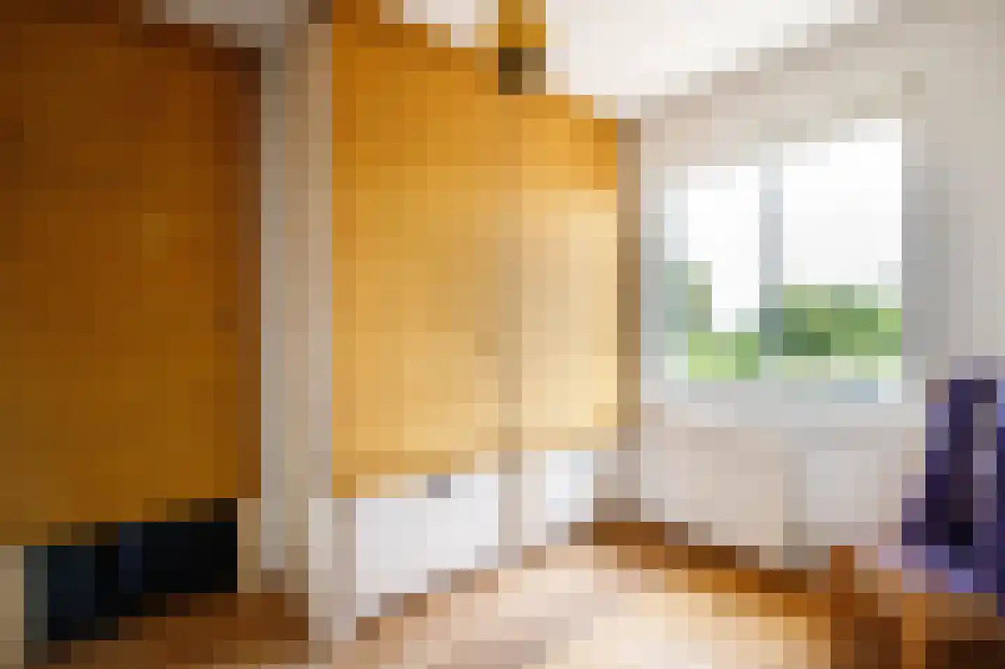 Mesdagstraat 17 Bergschenhoek thumbnail 34