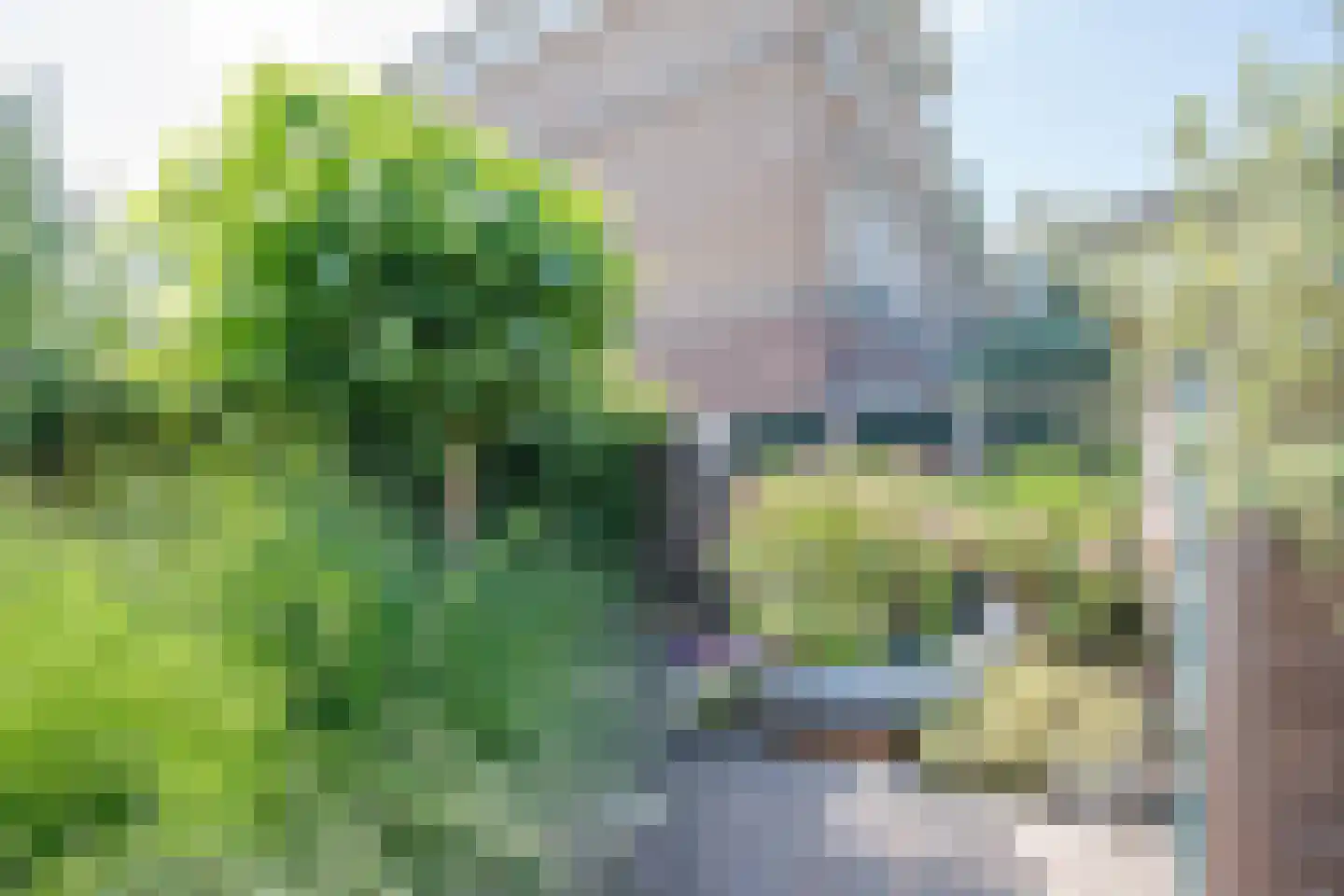 Mesdagstraat 17 Bergschenhoek thumbnail 41