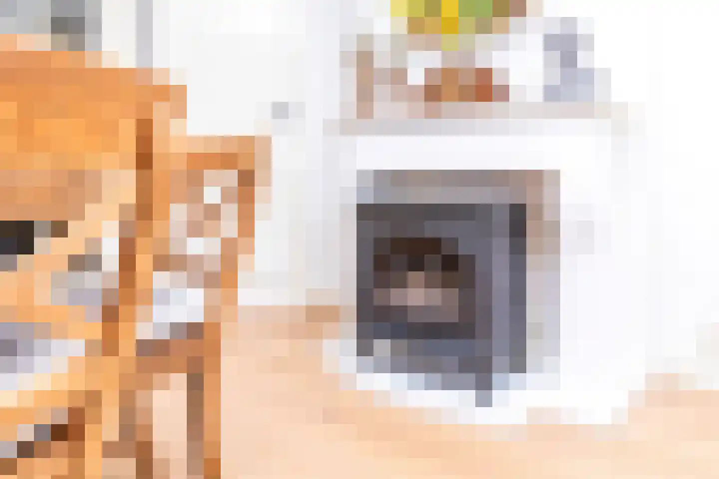 Mesdagstraat 17 Kesteren thumbnail 19