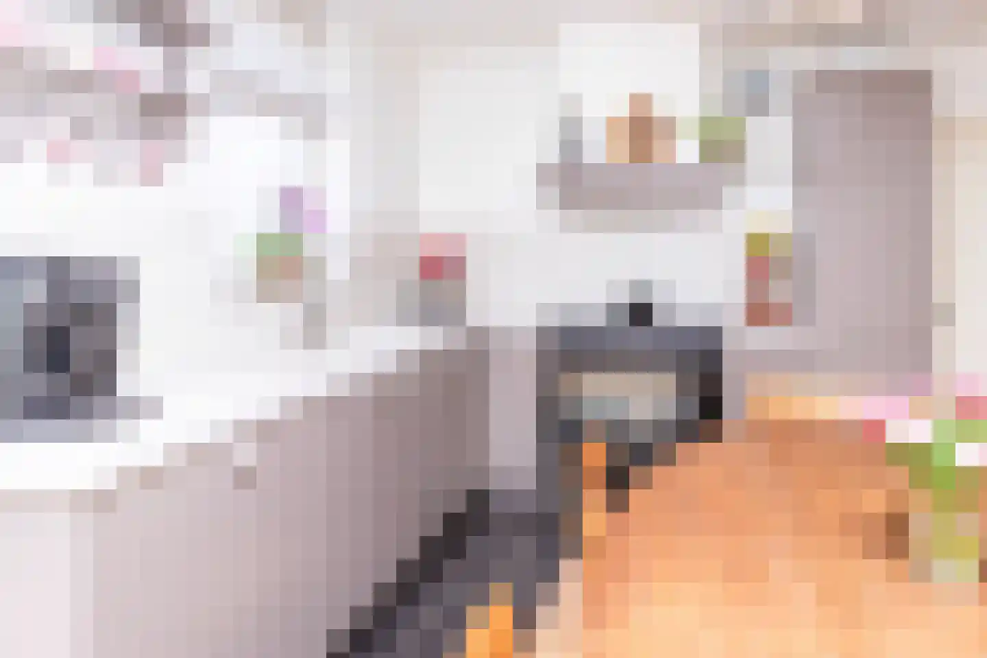 Mesdagstraat 17 Kesteren thumbnail 21
