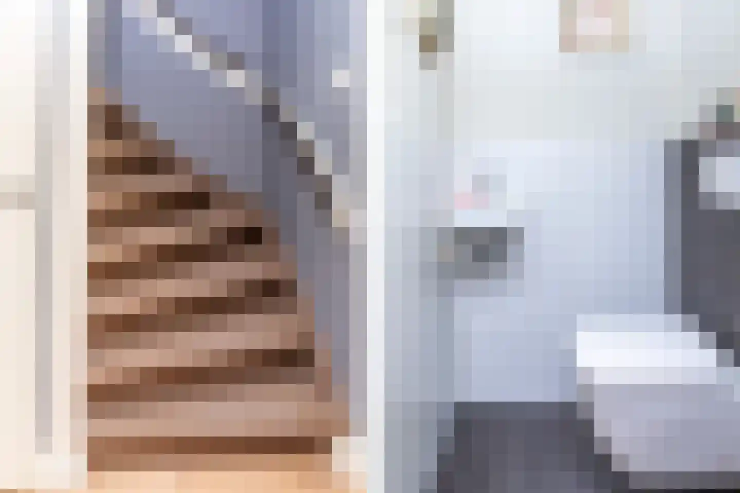 Mesdagstraat 17 Kesteren thumbnail 24