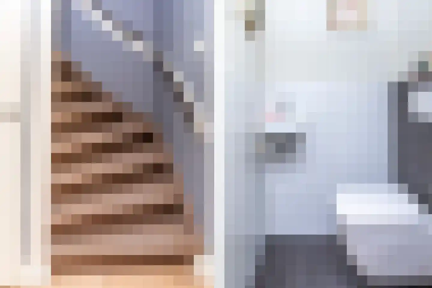 Mesdagstraat 17 Kesteren thumbnail 24