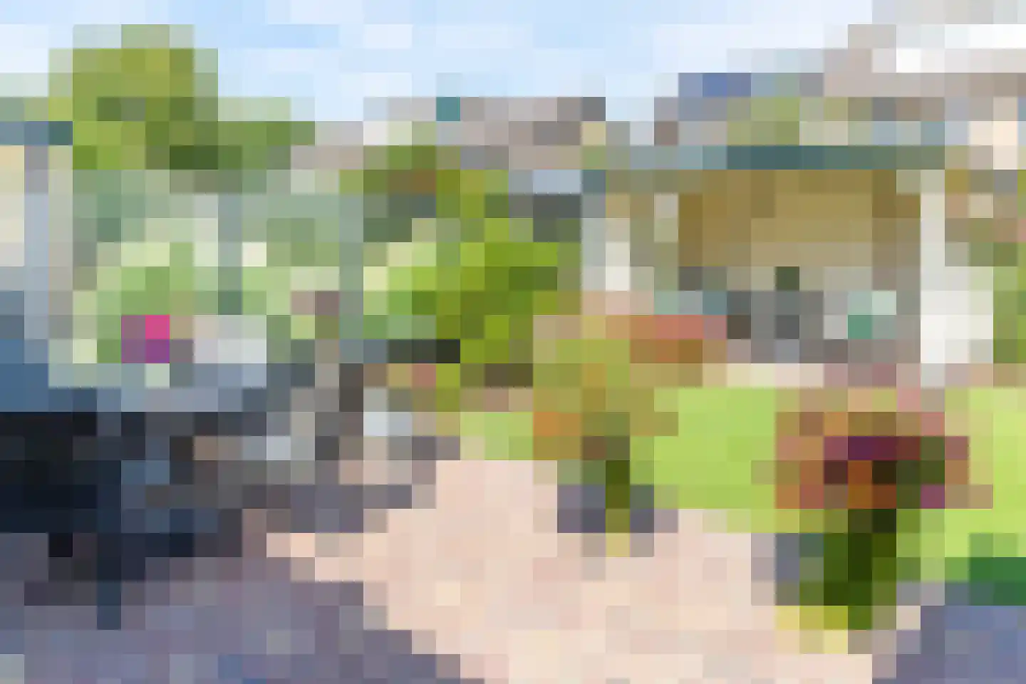 Mesdagstraat 17 Kesteren thumbnail 40