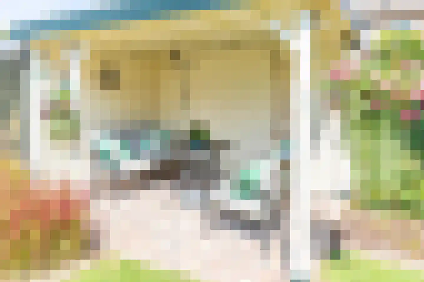 Mesdagstraat 17 Kesteren thumbnail 43