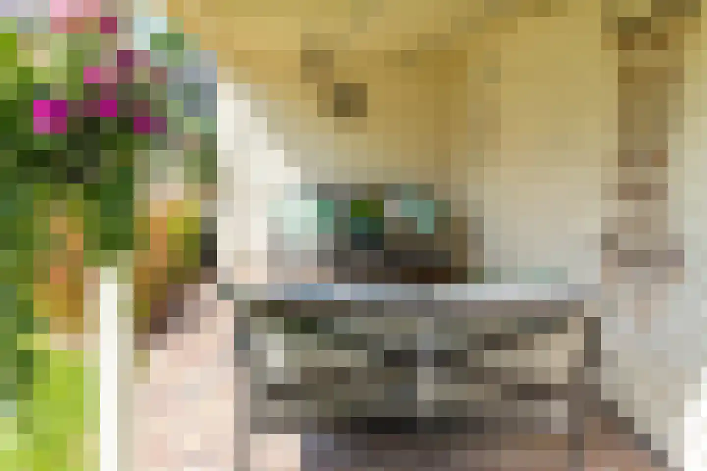 Mesdagstraat 17 Kesteren thumbnail 46