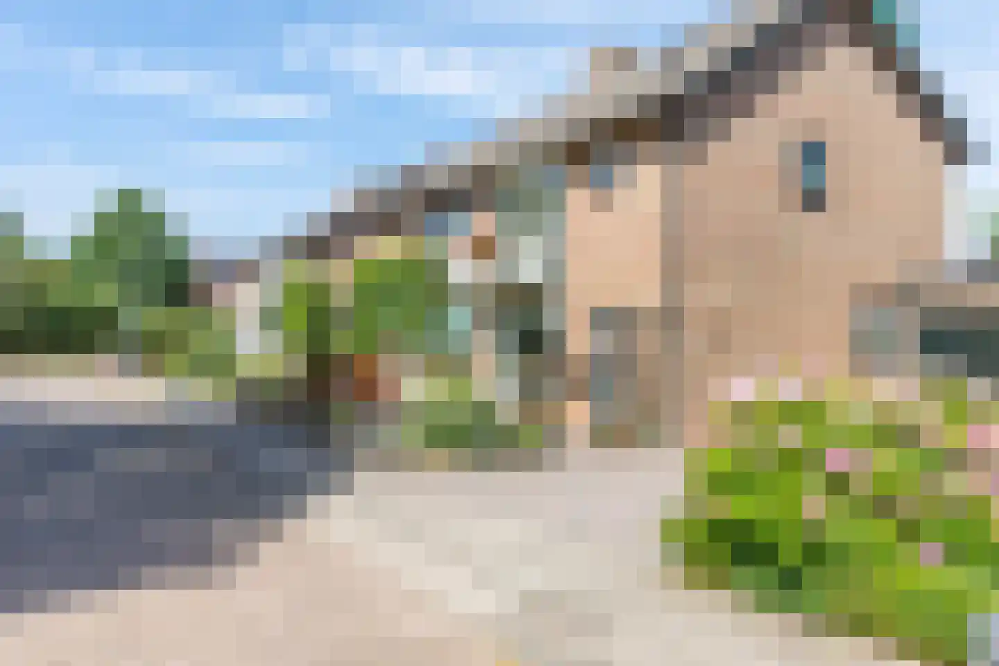 Mesdagstraat 17 Kesteren thumbnail 48