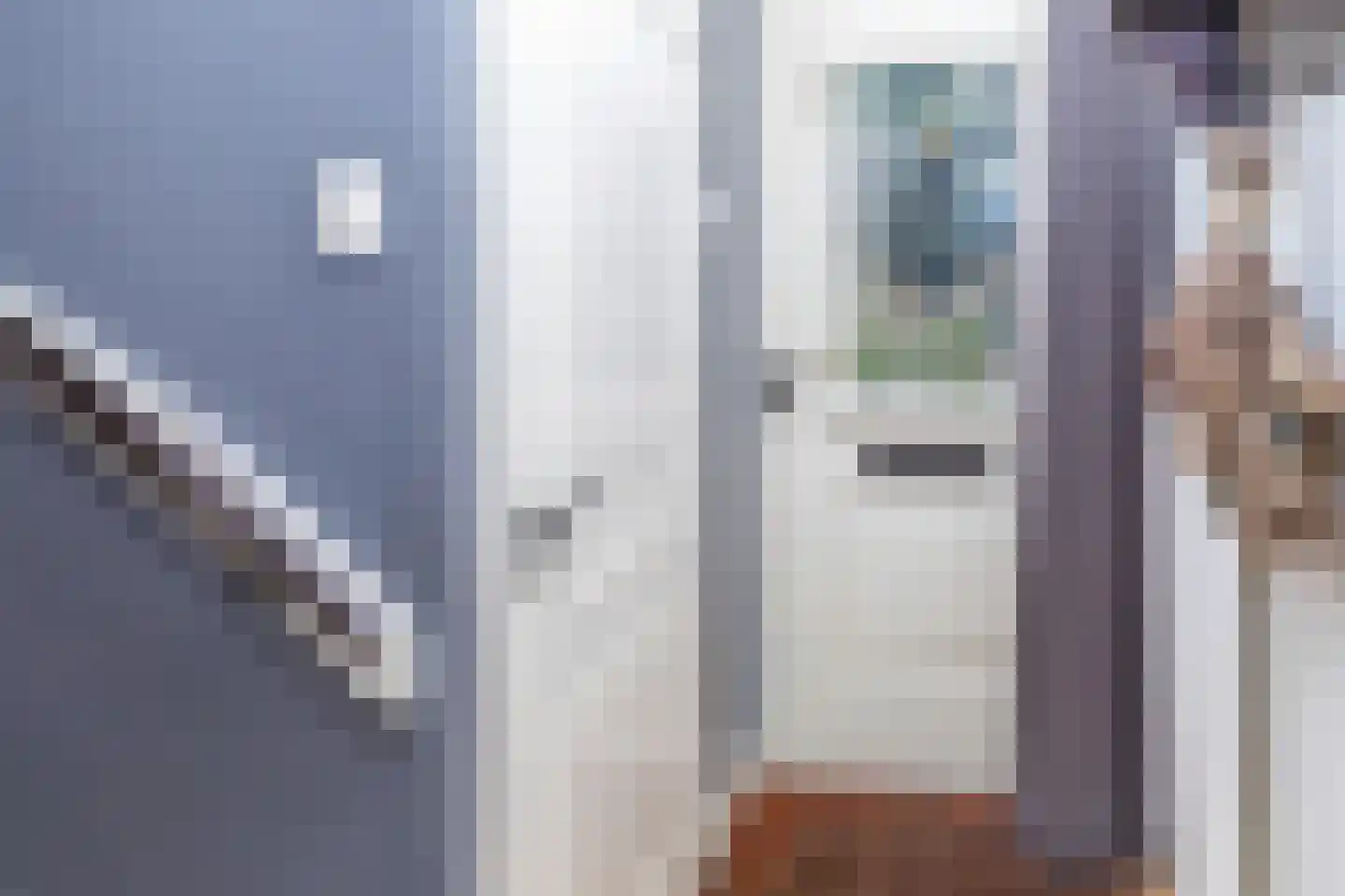 Mesdagstraat 17 Kesteren thumbnail 55