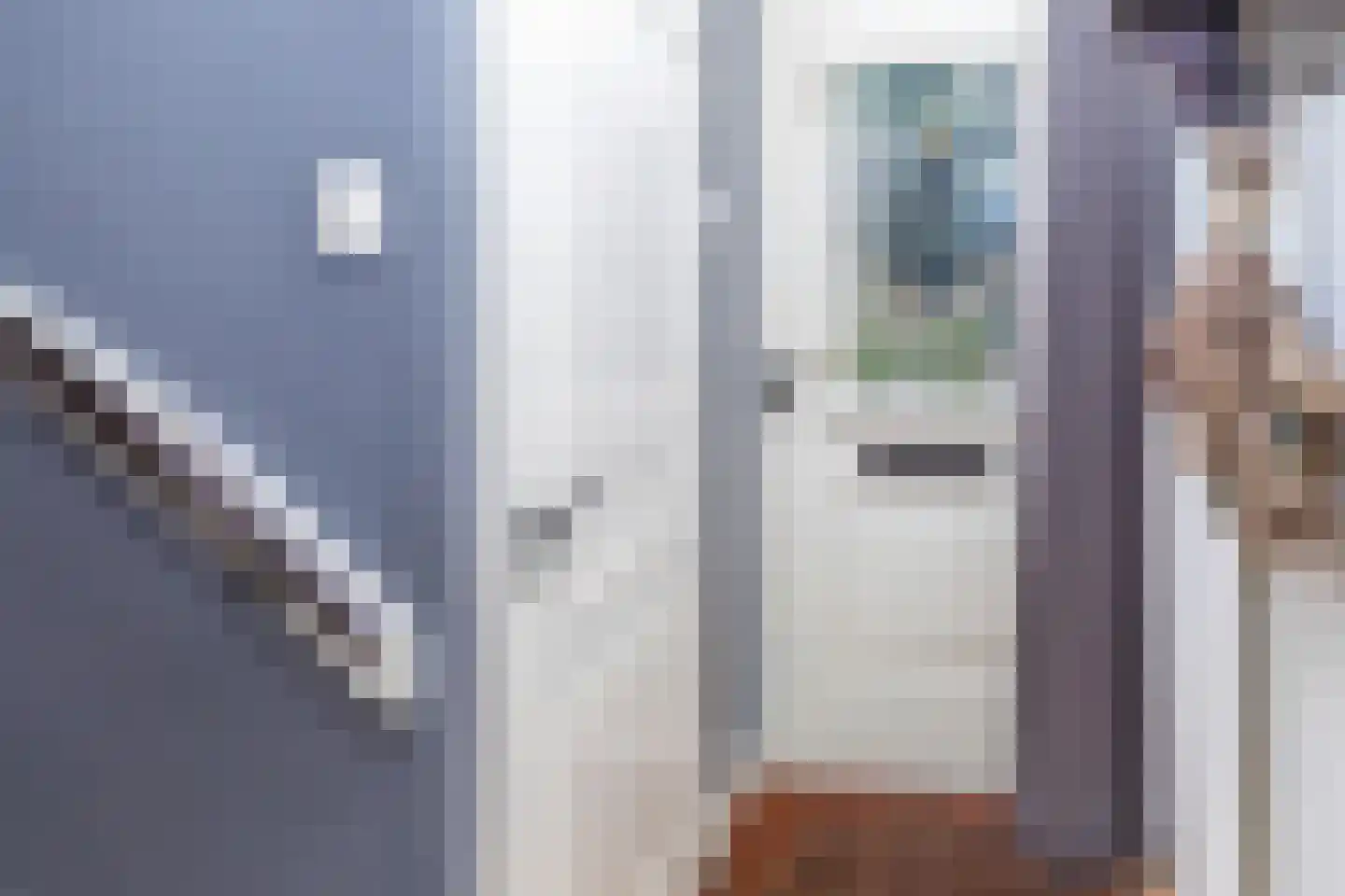 Mesdagstraat 17 Kesteren thumbnail 55