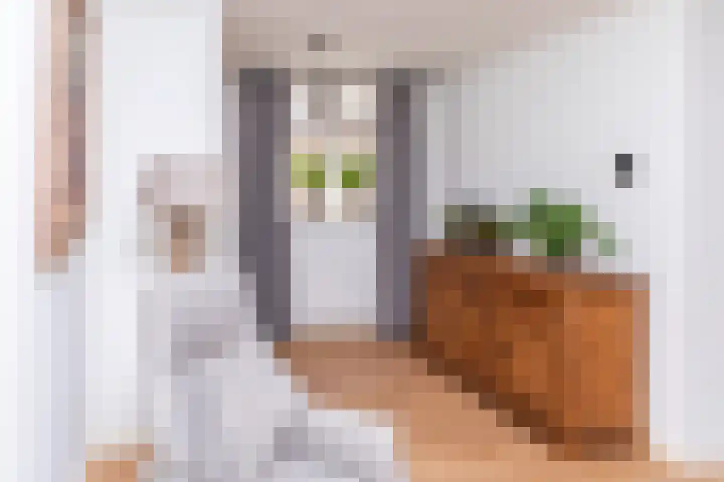 Mesdagstraat 17 Kesteren thumbnail 60