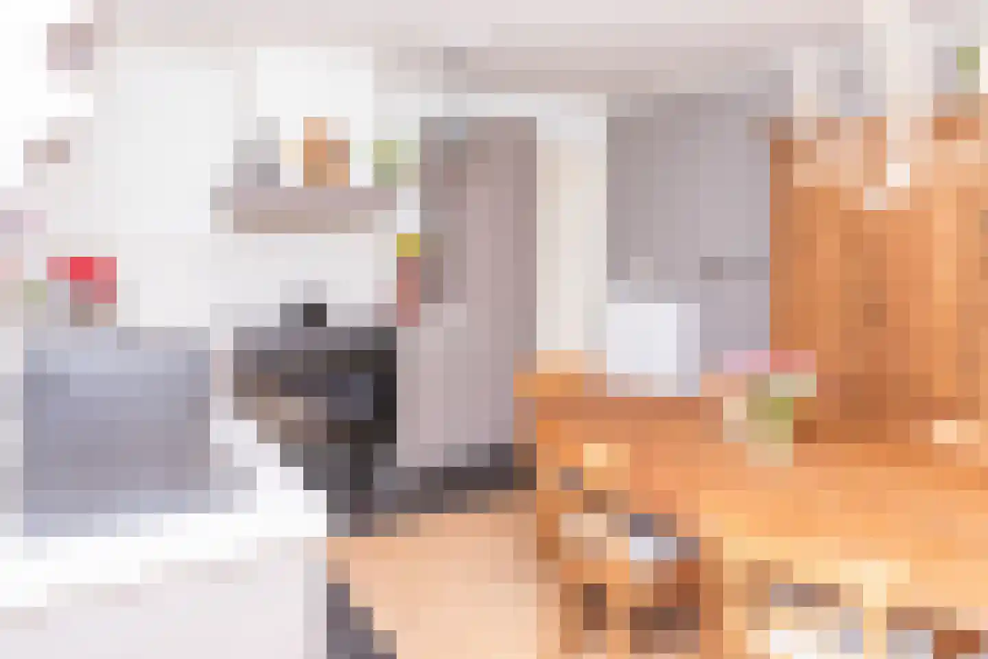 Mesdagstraat 17 Kesteren thumbnail 63