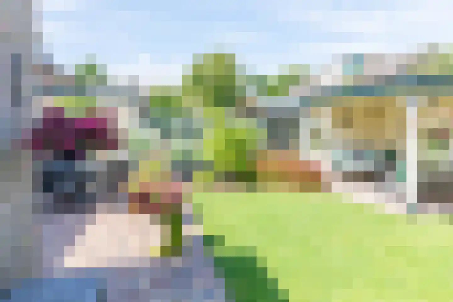 Mesdagstraat 17 Kesteren thumbnail 78