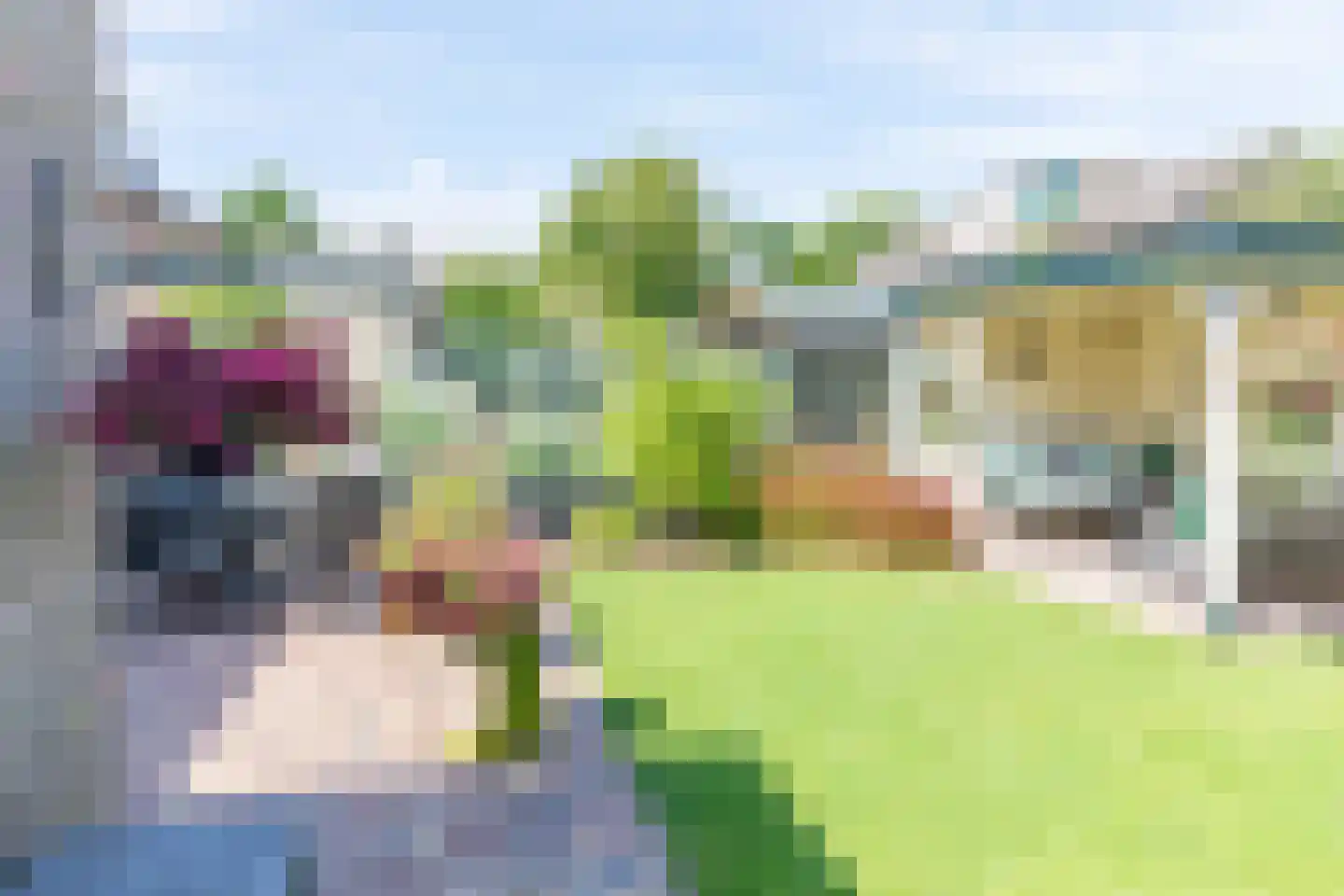 Mesdagstraat 17 Kesteren thumbnail 78