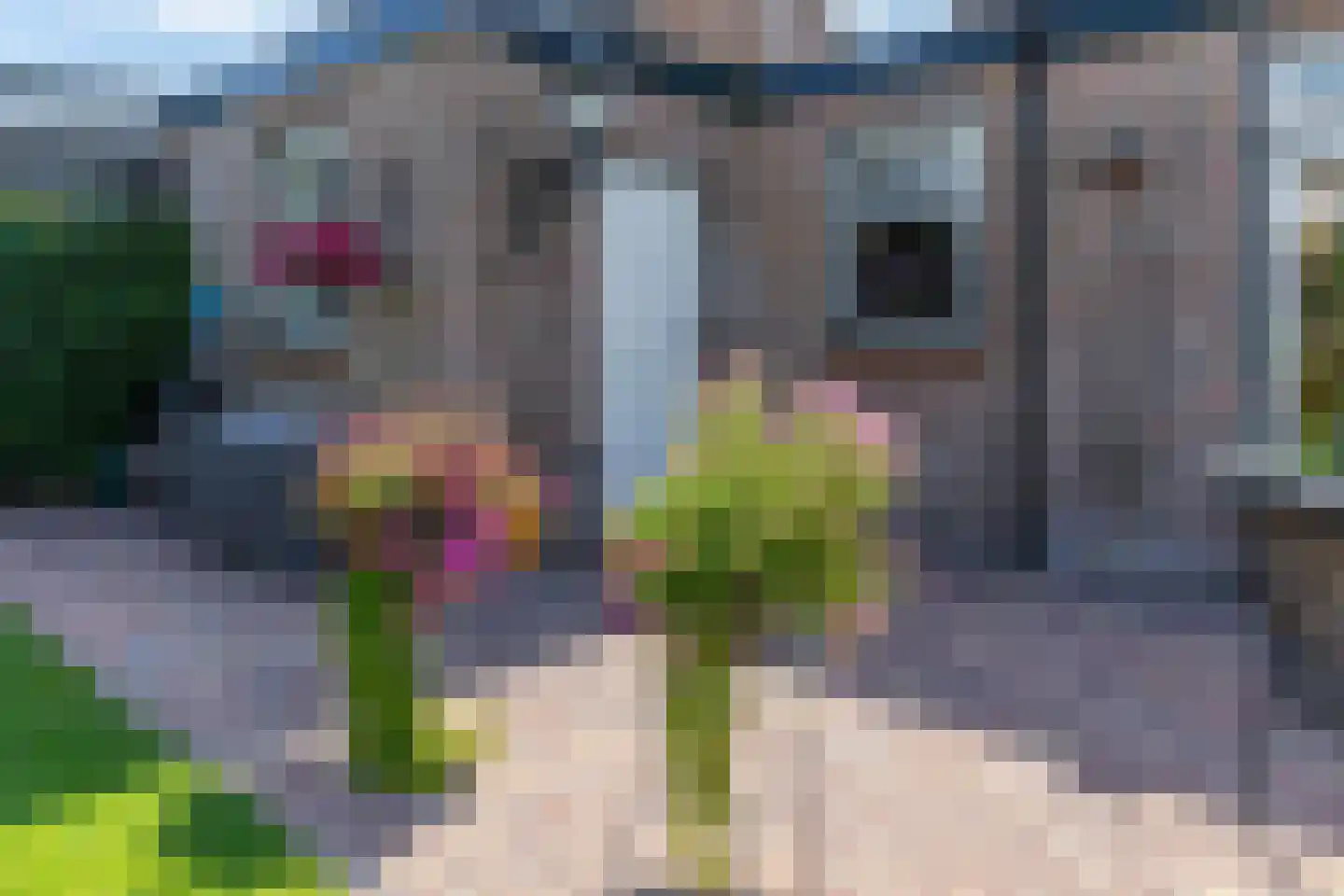 Mesdagstraat 17 Kesteren thumbnail 80