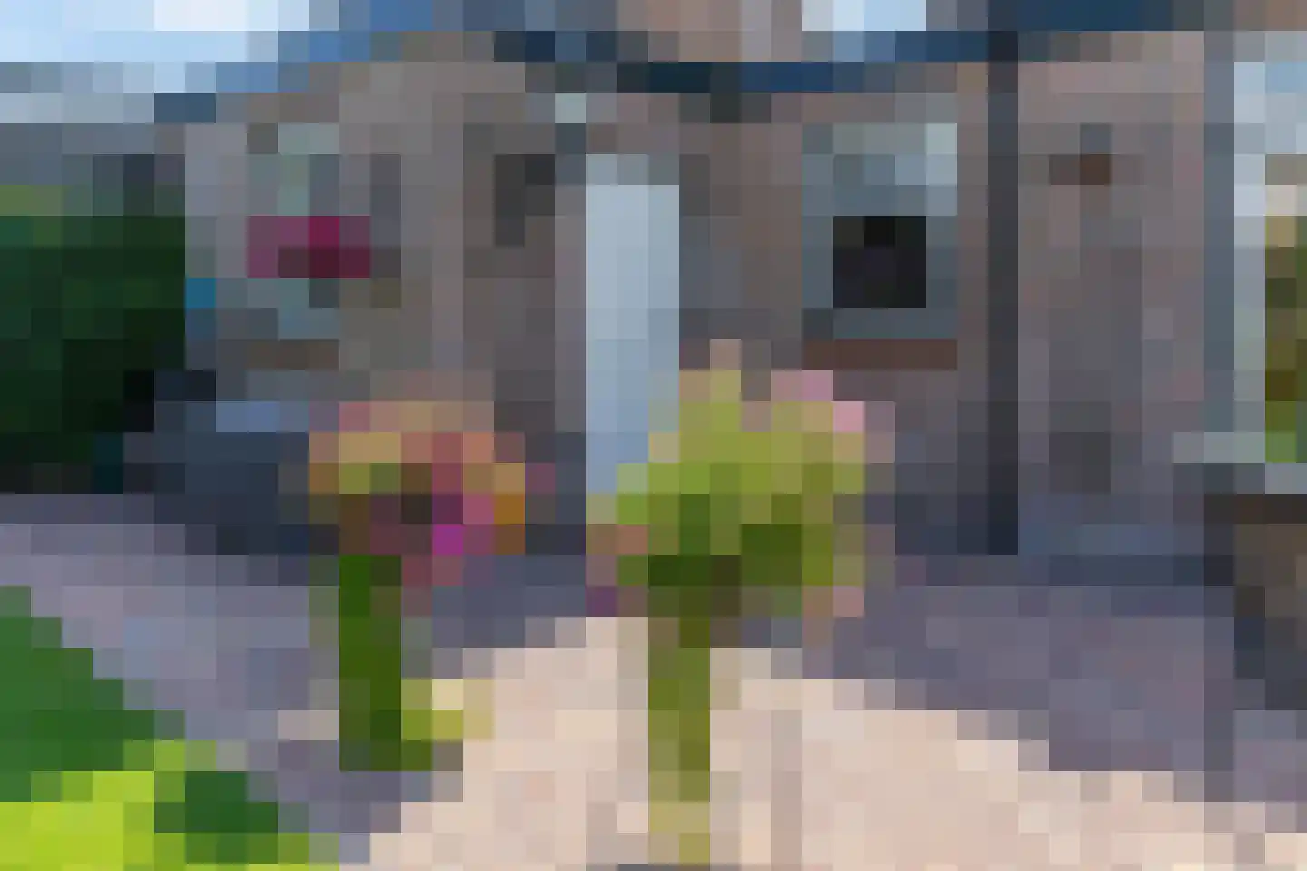 Mesdagstraat 17 Kesteren thumbnail 80