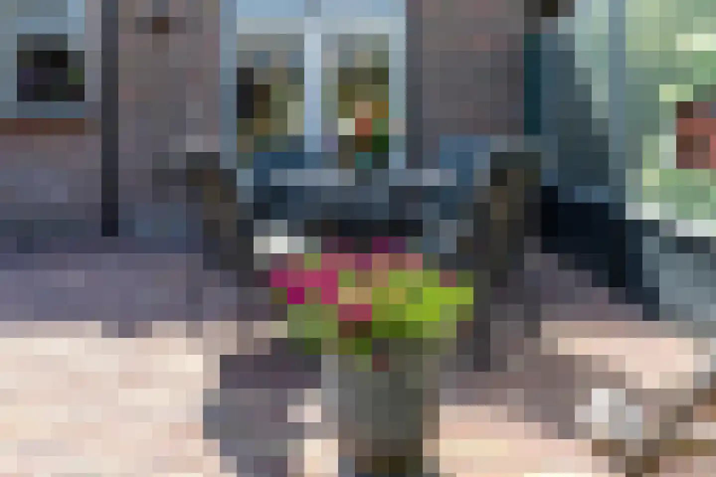 Mesdagstraat 17 Kesteren thumbnail 81
