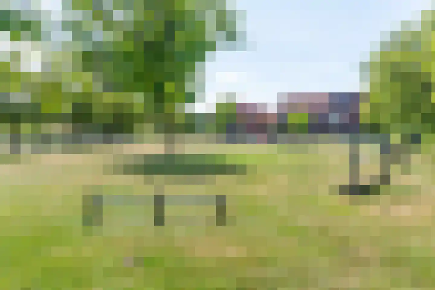 Mesdagstraat 17 Kesteren thumbnail 88