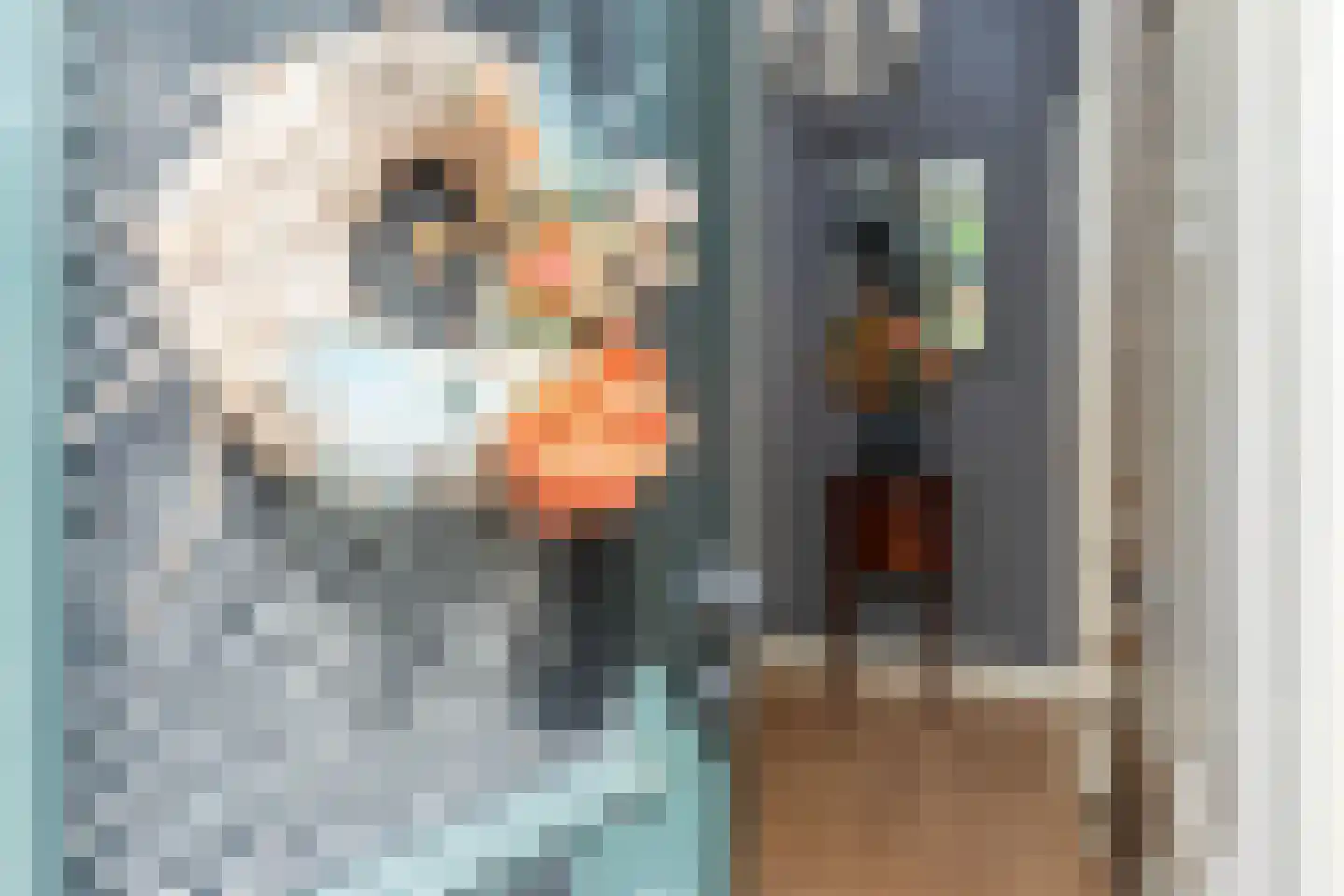 Mesdagstraat 17 Kesteren thumbnail 9