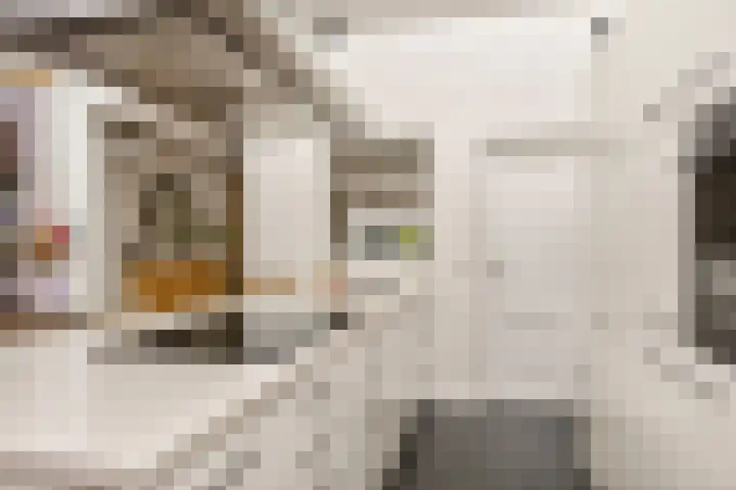 Mesdagstraat 18 Hengelo thumbnail 18
