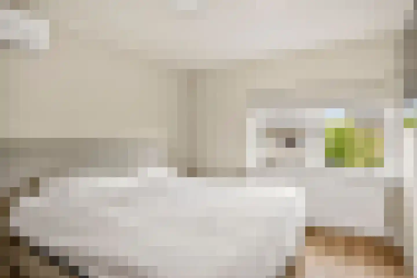 Mesdagstraat 18 Hengelo thumbnail 26