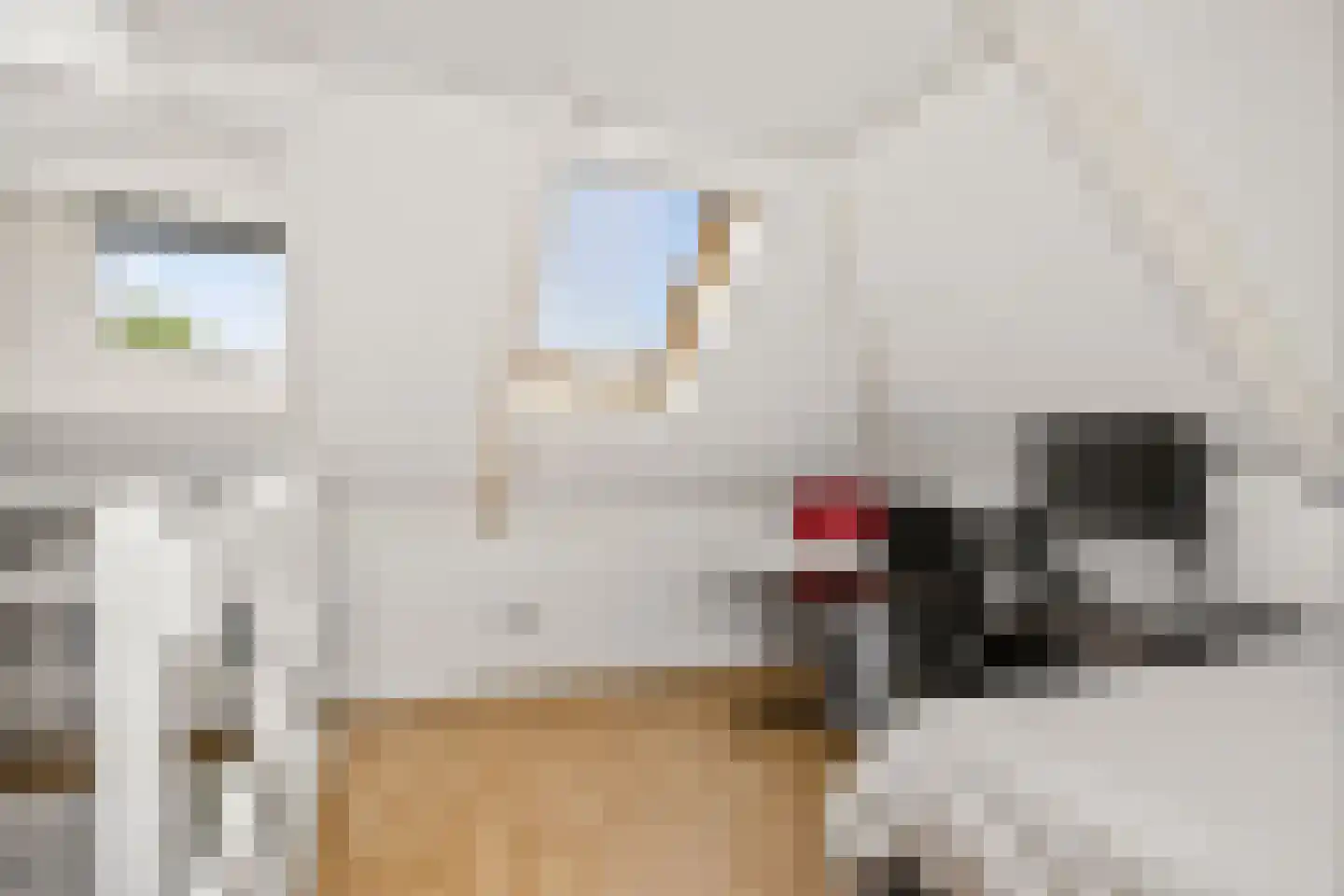 Mesdagstraat 18 Hengelo thumbnail 30